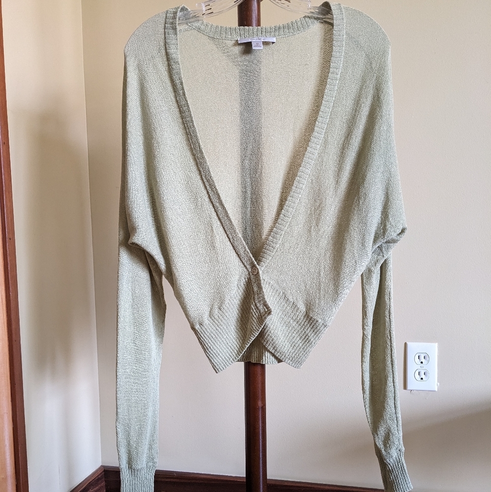 Caslon extra small sheer, batwing sweater. Light green